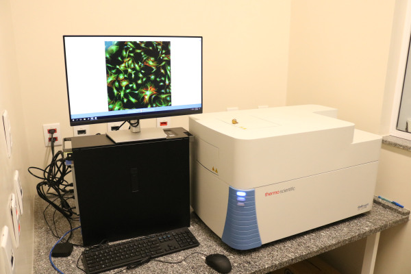 
LIFE - Laborat&oacute;rio de Ensino e Pesquisa em Toxicologia In vitro
